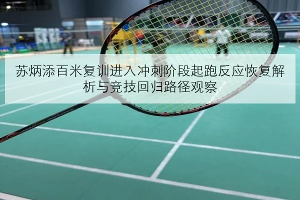 苏炳添百米复训进入冲刺阶段起跑反应恢复解析与竞技回归路径观察